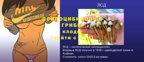 apvp Алексеевка