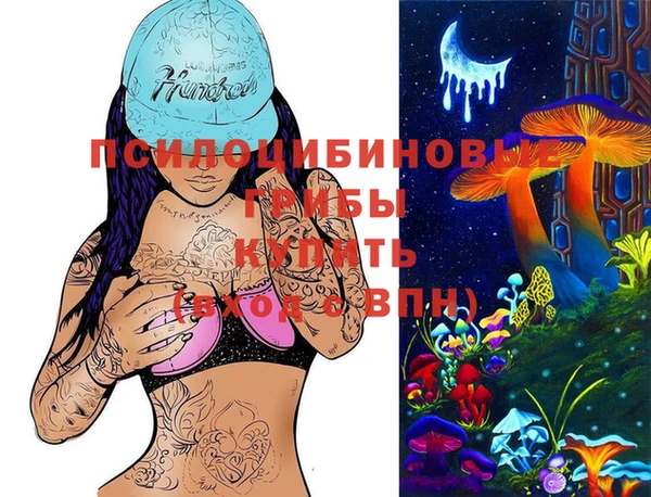 экстази Алексин