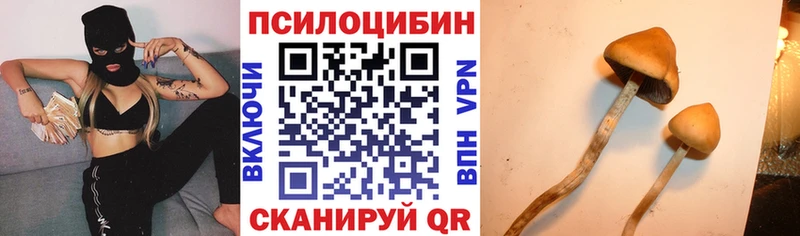 Галлюциногенные грибы GOLDEN TEACHER магазин Нижний Новгород