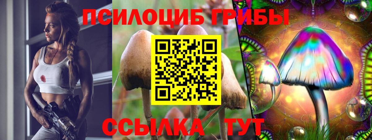 Галлюциногенные грибы MAGIC MUSHROOMS  Вход с VPN  Нижний Новгород 